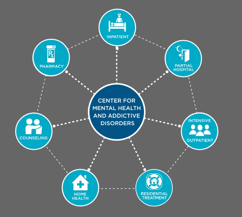 Alvarado Parkway Institute - API